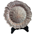 Plato Base Rose Gold