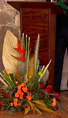 Podium Nogal