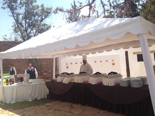 Carpa 6X3 y 4X4 con Cielo